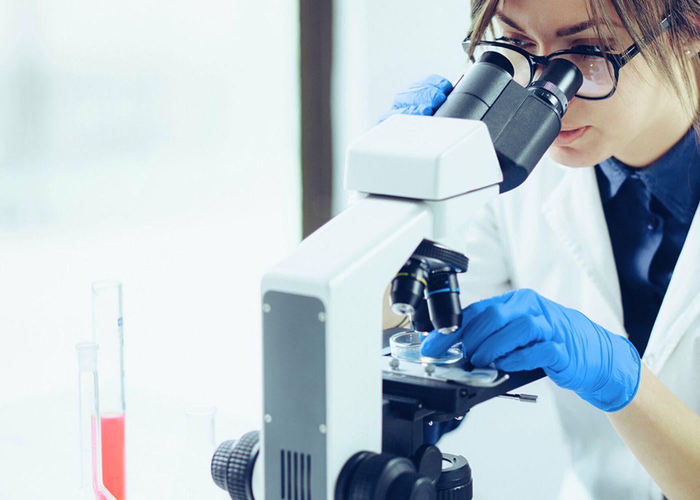 Top Medical Diagnostic Laboratory Services in HomewoodDevansh Lab Werks