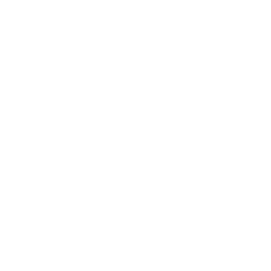 Illustration of an adapter