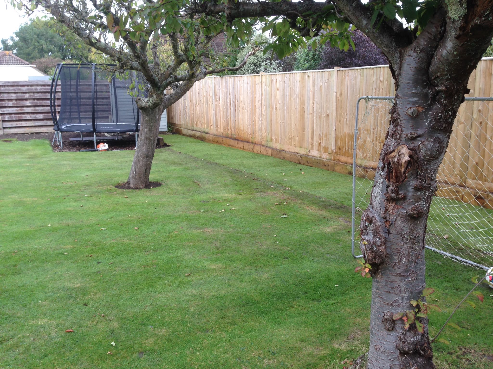 Large border turfed over with new lawn in Brighton