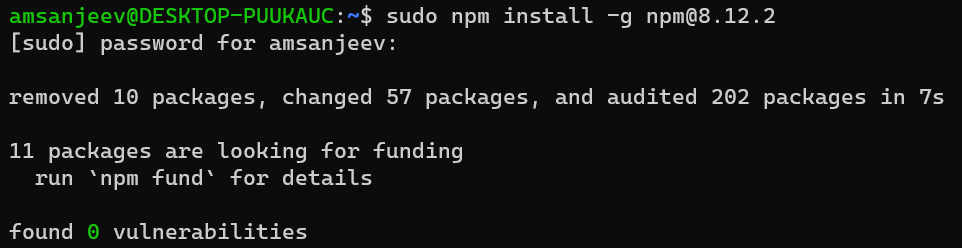 Install latest npm version