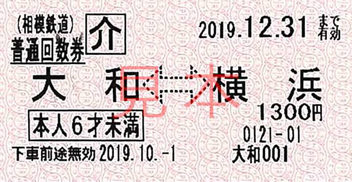 回数乗車券 介護者(本人6才未満) 券面