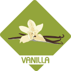 vanila