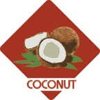 coconut