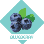 blueberry