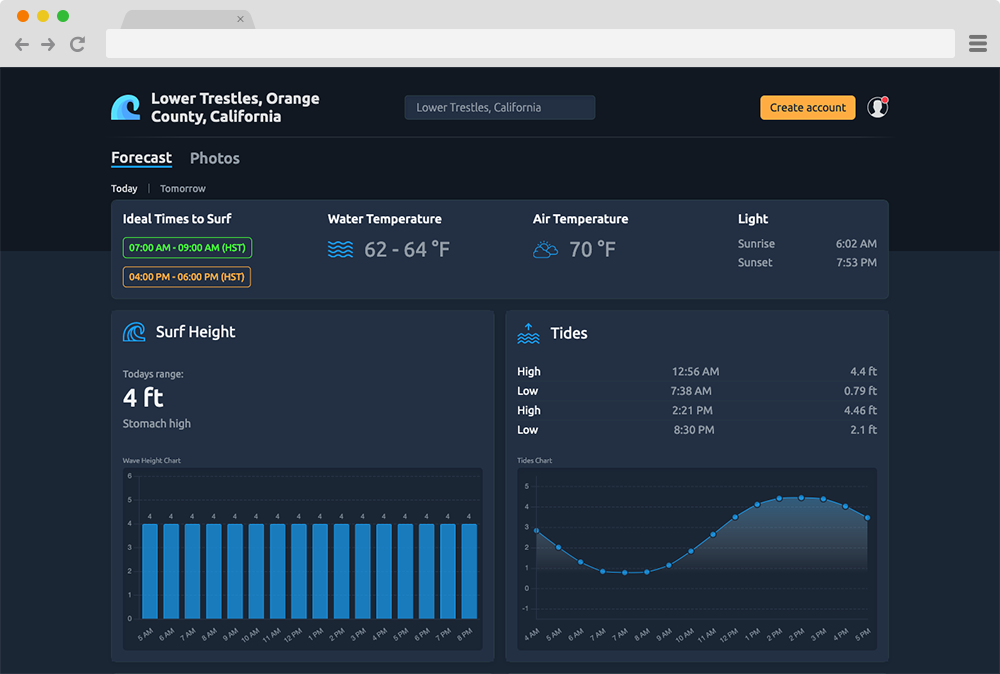 GoSurf Project Screenshot