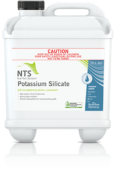 potassium silicate