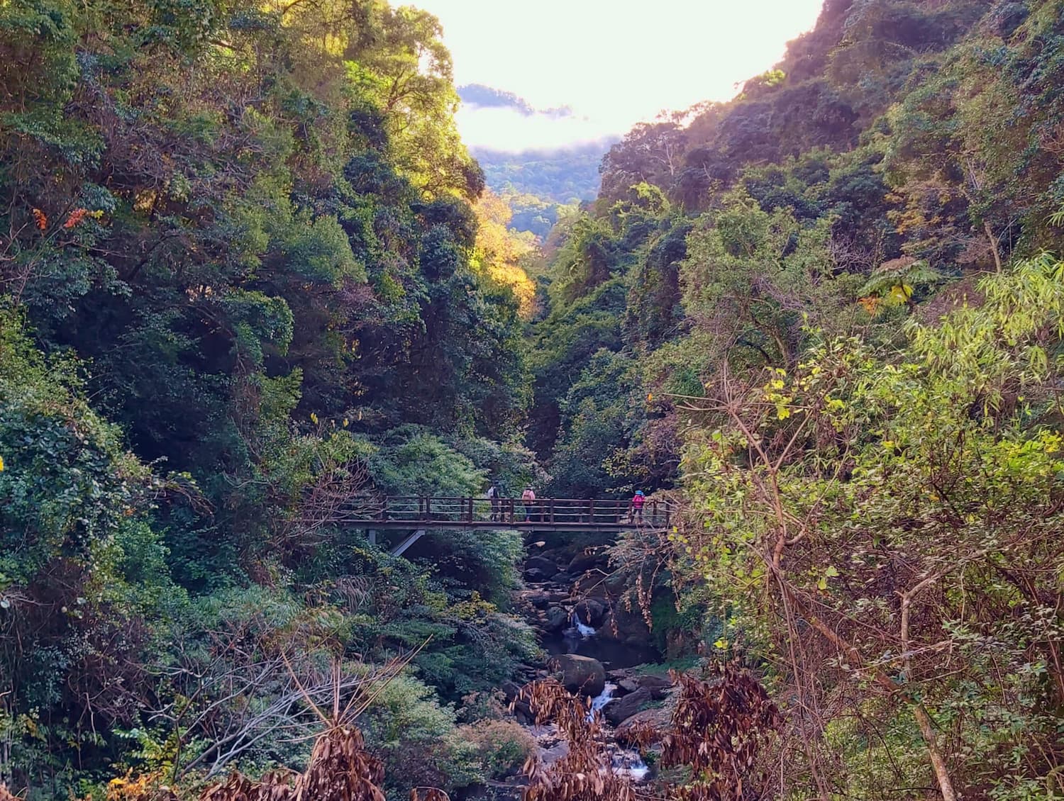 Syakaro Historic Trail